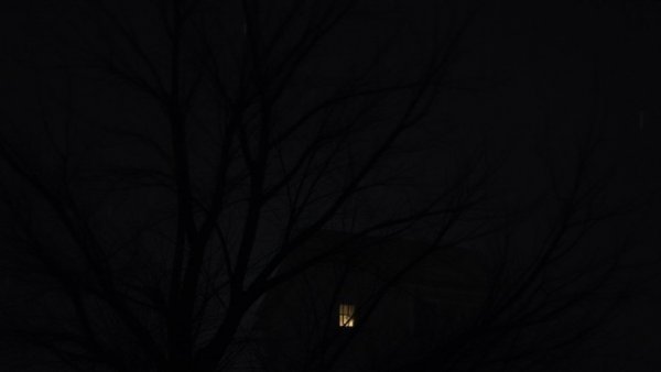 Storm damage in Kansas City at night with tree branches against a building.