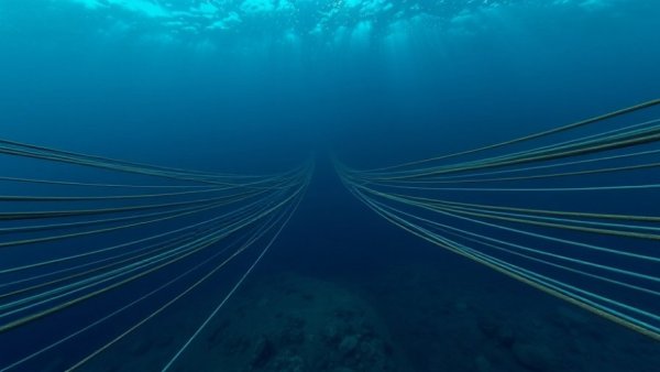 Deep sea cables on ocean floor illustrating AI tools connectivity.