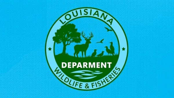 Logo of Louisiana Wildlife and Fisheries emblematic of Black Bass Management Plan Louisiana