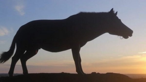 Photo of the Week – Be a champion