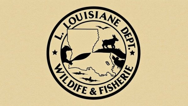 Louisiana Wildlife & Fisheries emblem symbolizing regulations.