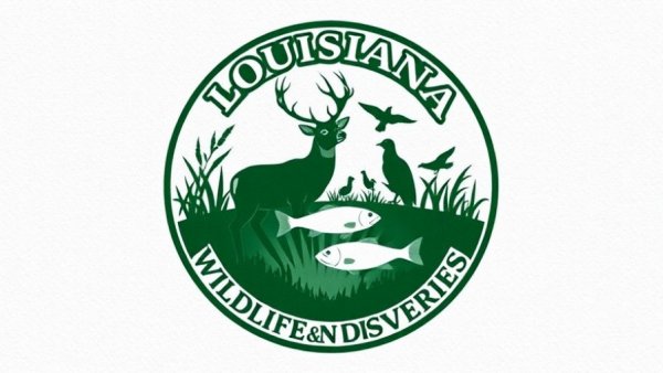 Louisiana Wildlife & Fisheries logo on a blue background, emphasizing conservation.