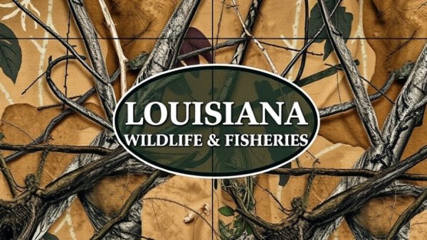 Louisiana Wildlife & Fisheries logo with camo background.