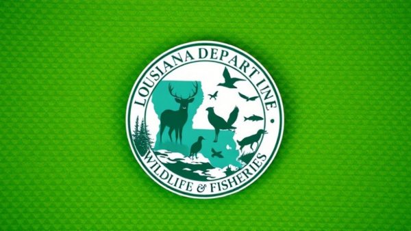 Louisiana Department of Wildlife and Fisheries logo on green background.