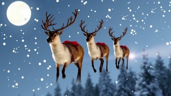 Santa’s reindeer are ready to fly