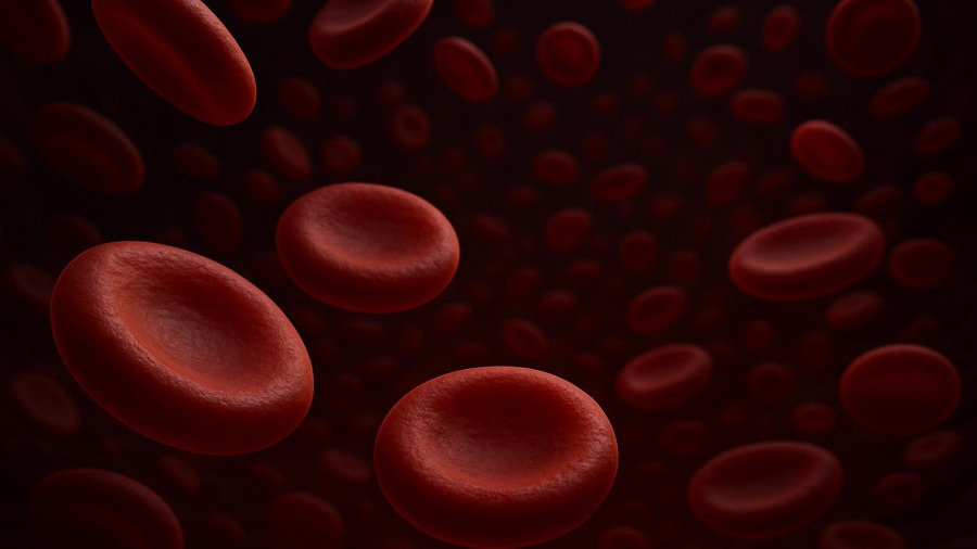 Revolutionary AI Tool Detects Aging in Blood Stem Cells: What Practitioners Should Know