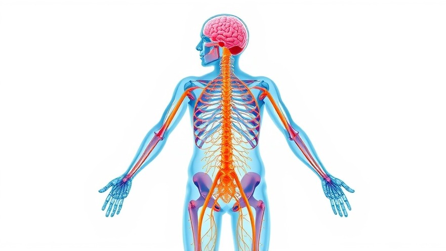 Understanding Nervous System Changes in Aging: A Guide for Concierge Practices