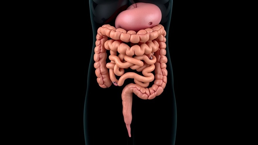 Ileosigmoid Knotting: What Concierge Medicine Practices Need to Know