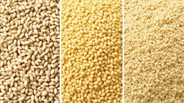 Integrate Whole Grains into Patient Wellness for Better Health Outcomes