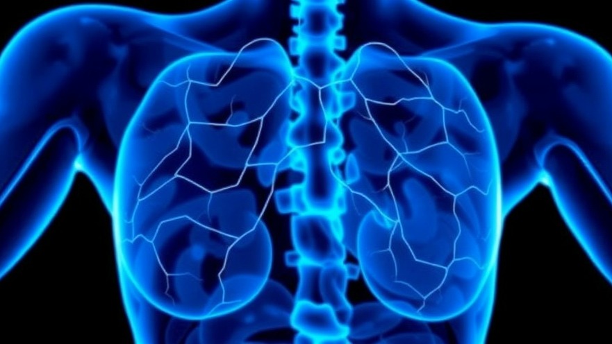 Understanding Amyloidosis: Health Tips for Digital Nomads