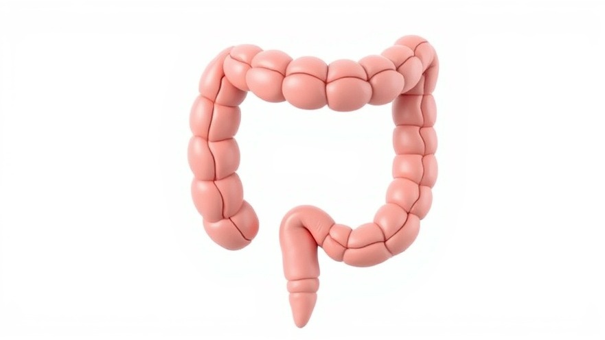 Why Anorectal Manometry Is Essential for Patient Wellness Strategies