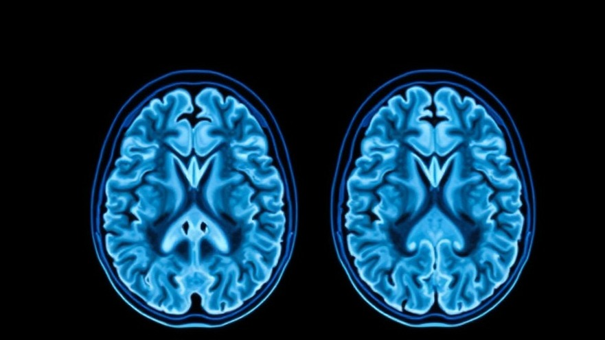 Alzheimer's Protein Patterns Vary: New Insights for Health Practitioners