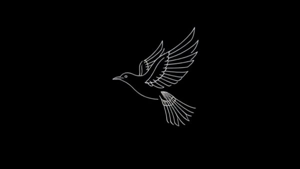 Stylized line art bird design on black background