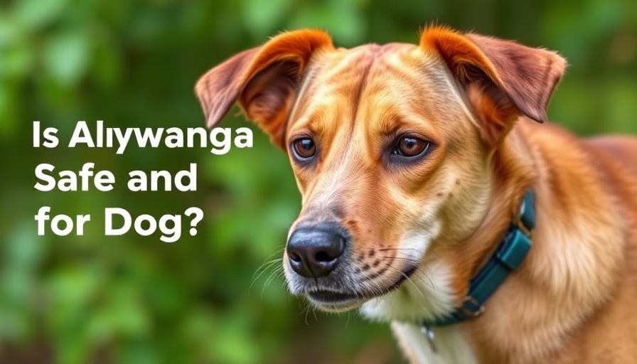 Is Ashwagandha Safe and Good for Dogs?