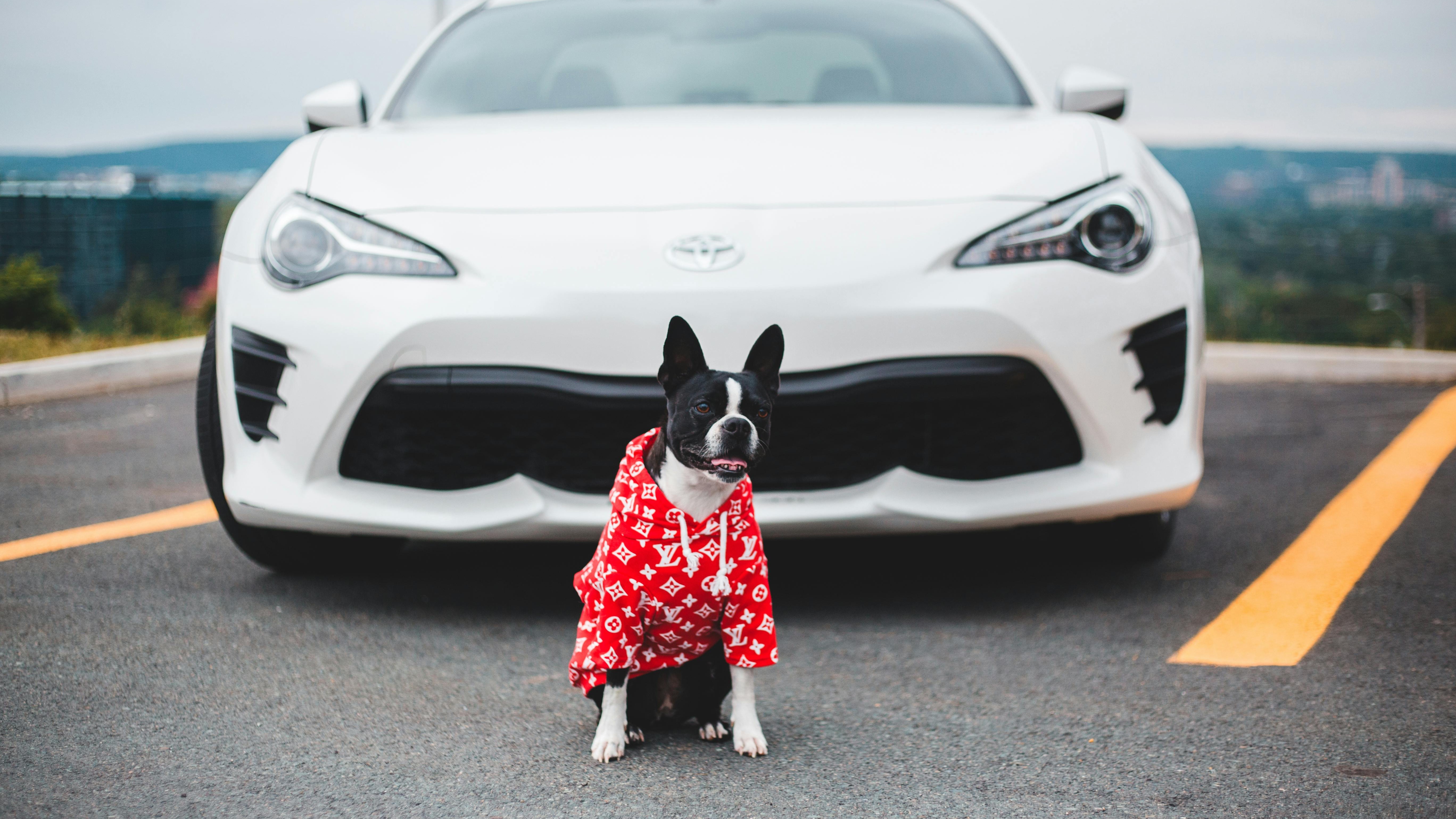 Vintage figurines in 19th-century attire performing a dance.