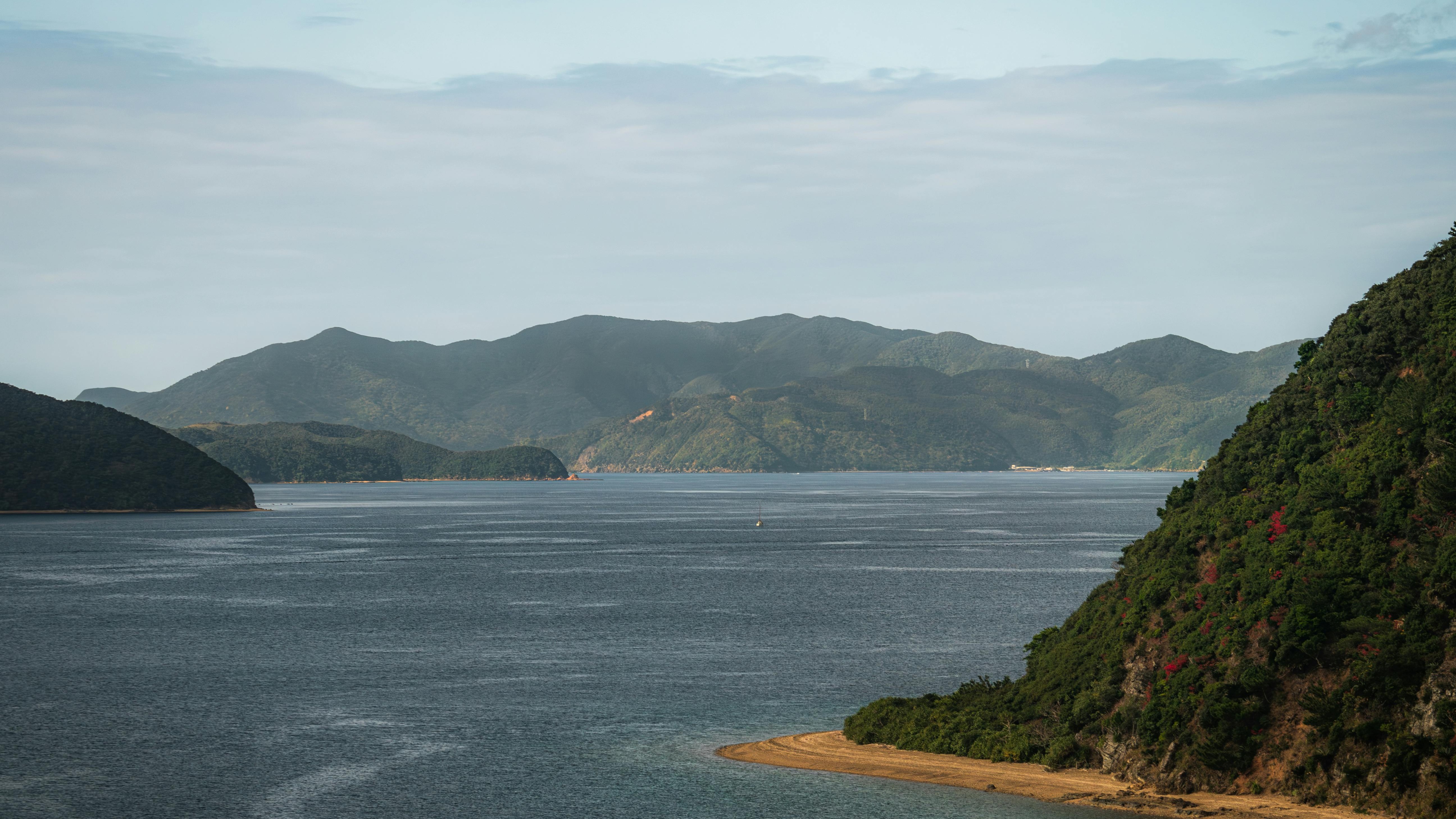 Contemporary off-grid architecture with children outside in a suburban setting.