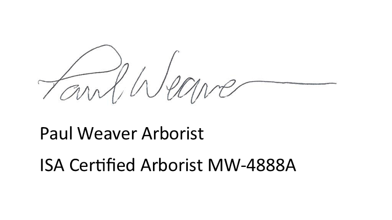 ISA Certified Arborist Kansas City