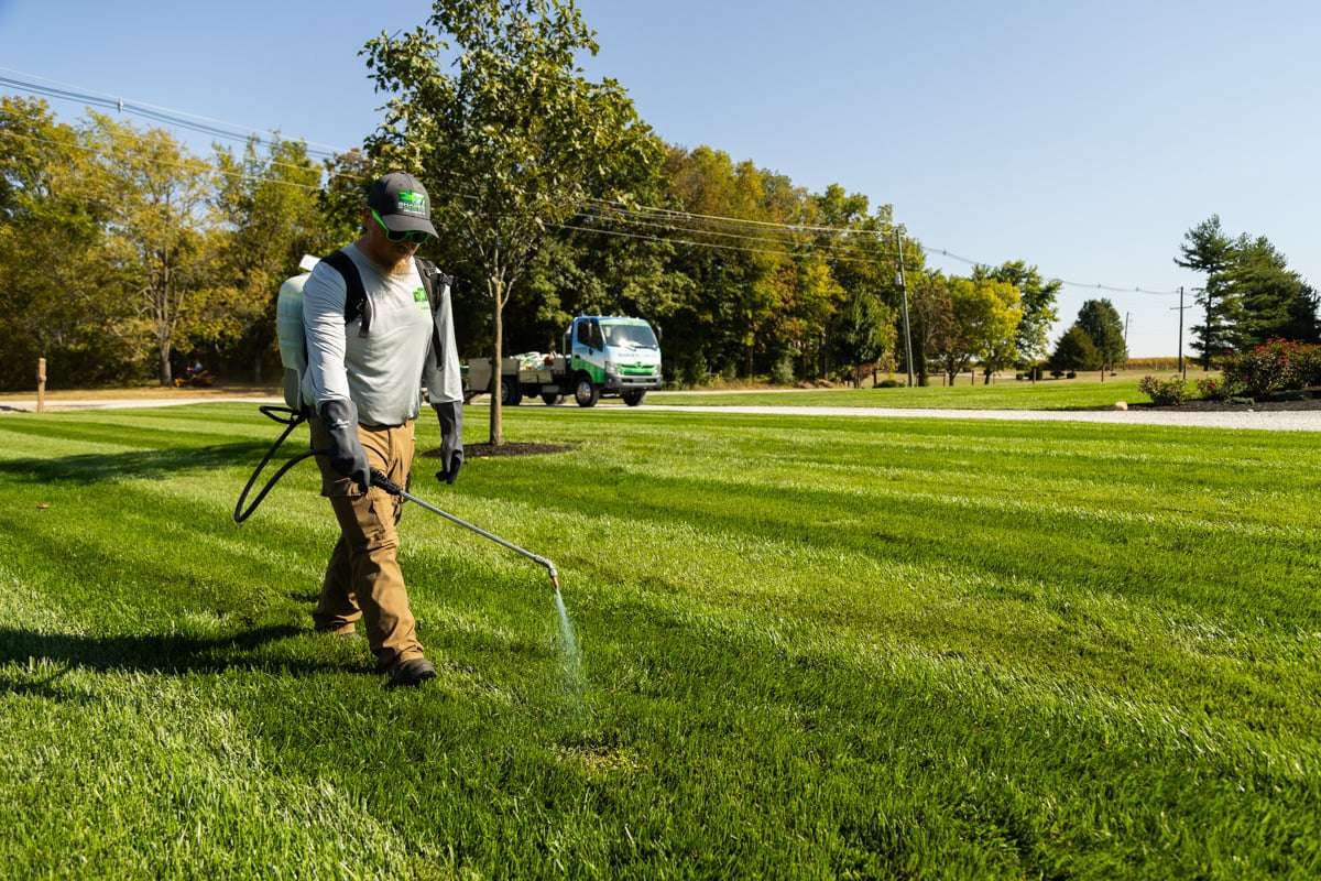 ISA Certified Arborist Kansas City | Natural Tree Care vs Chemical Spraying