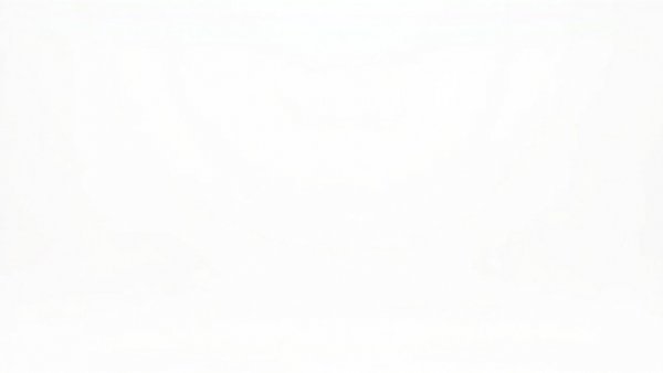 Blank white image symbolizing absence.