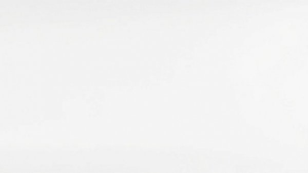 Blank white space, no content