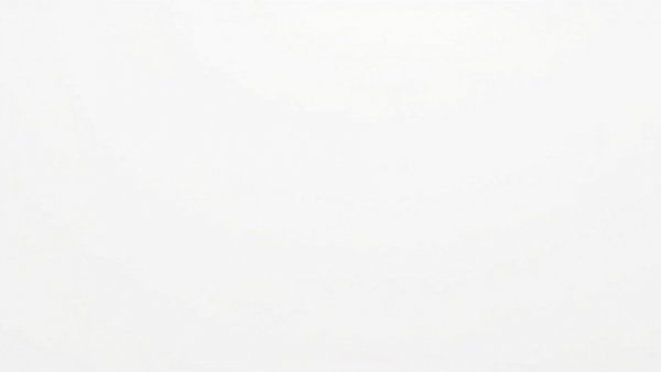 Plain white background, minimalist style.