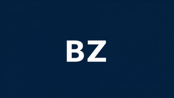 Minimalist 'BZ' logo on a dark blue background.