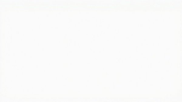 Plain white background representing a blank canvas.