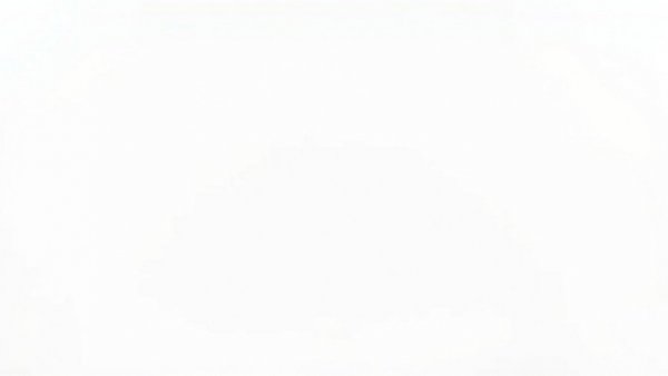 Blank white background image