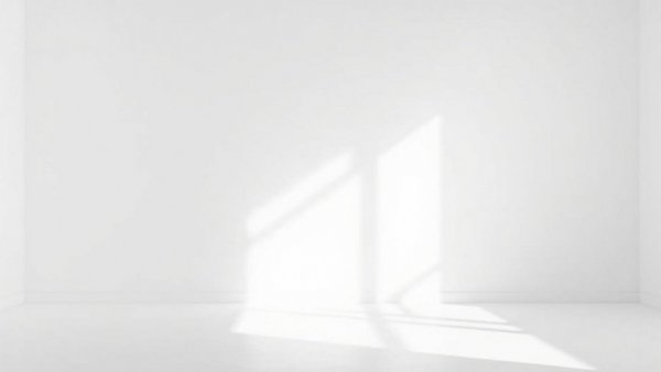 Blank image with empty white background