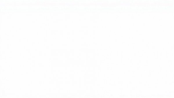 Blank white space with no content.