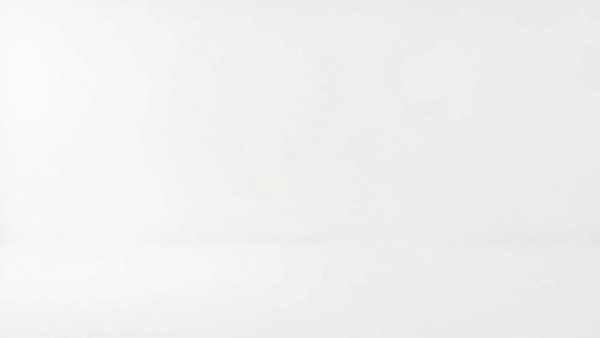 Blank white image, no content visible.