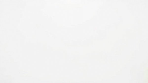 Blank white image as a concept placeholder for VA reorganization plan.