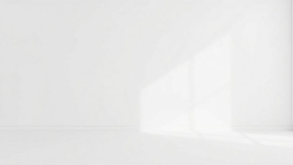 Blank white backdrop representing immigration enforcement reform concept.