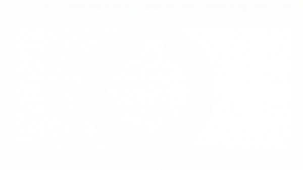 Blank image representing lack of content related to government shutdown DHS funding