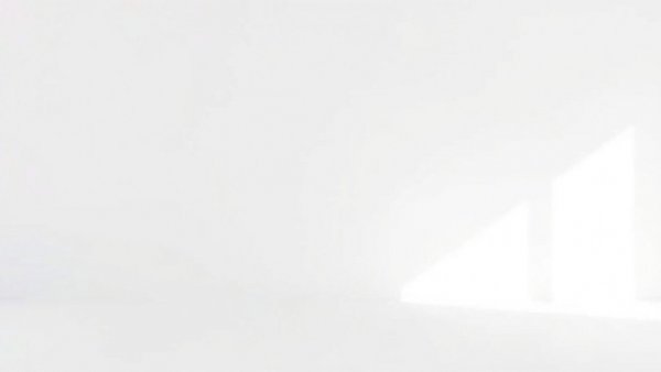 Blank white image symbolizing a clean slate.