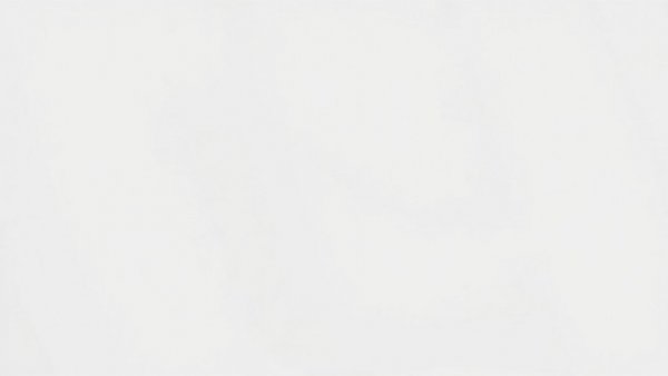 Blank image for Trump touts economy attacks political foes topic.