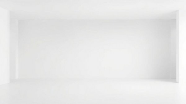 Blank white image representing absence or emptiness.