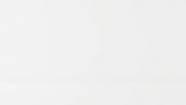 Plain white background for Congress vote context