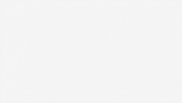 Blank white image, no content.