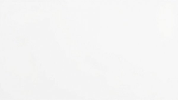 Empty background for discussion on Muslim voters response to Rep. Andy Ogles' comments.