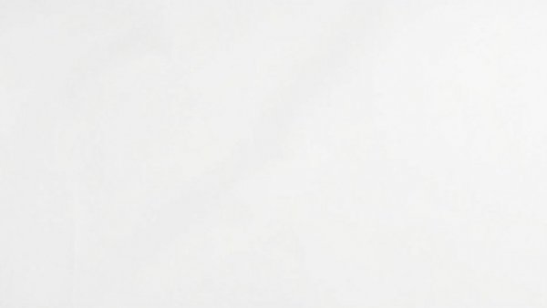 Blank white image representing emptiness.