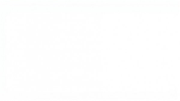 Blank white image, no content related to SAVE America Act voting rights.