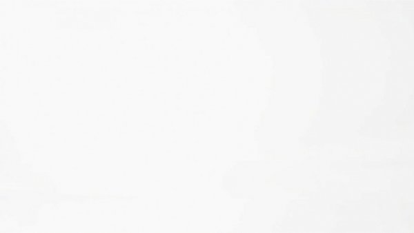 Blank white space related to Susie Wiles breast cancer diagnosis.