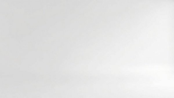 Blank white canvas representing Illinois Democratic primaries 2026.