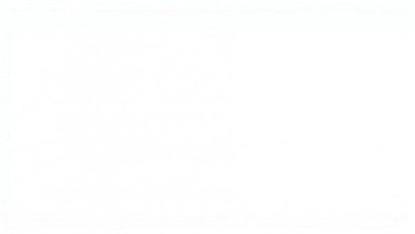 Blank white image symbolizing absence of content.