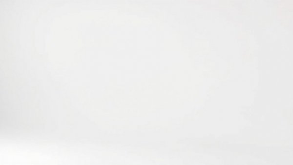 Democrats grapple with election reality concept shown as a blank slate.