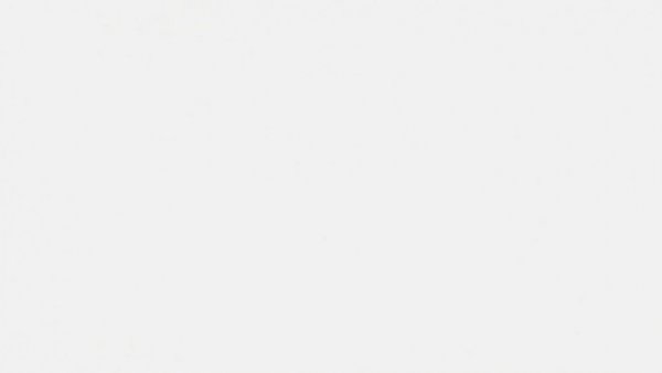 Empty white canvas symbolizing calm and potential tranquility.