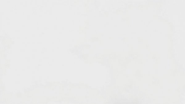 Blank image related to 'immigration enforcement funding'.