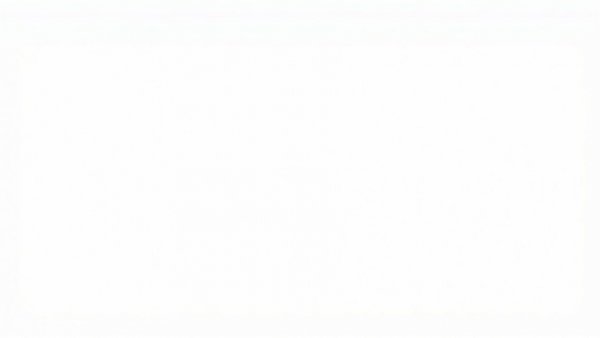 Blank white background, no visual content.