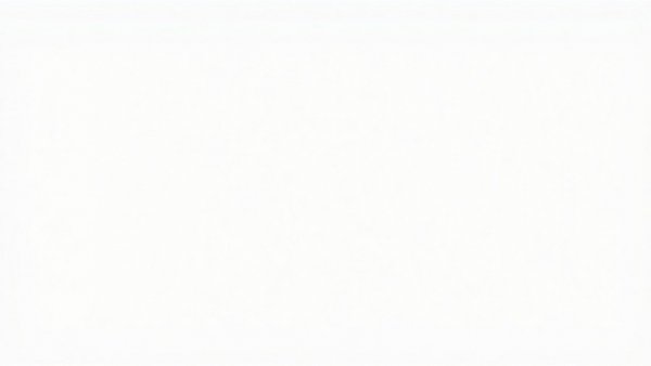 Blank image representing absence of content.